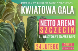 Szczecin Wydarzenie Targ Ogrodnictwa Kwiatowa Gala w Szczecinie - kiermasz roślin donic