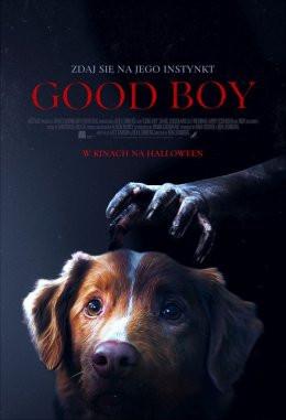 Gryfino Wydarzenie Film w kinie Good Boy